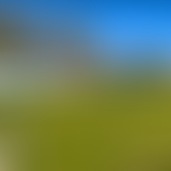 Coming Up Sat 14th Feb - Liversedge (A)