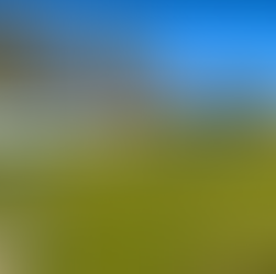 Coming Up Sat 14th Feb - Liversedge (A)