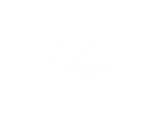 WF (1).png
