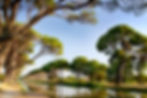 SALLELES D’AUDE_canal Midi©Gilles Deschamps