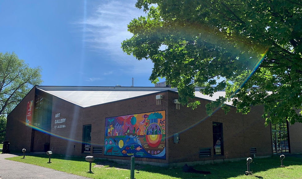 Art Gallery of Algoma 50th Anniversary Celebration