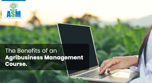 The Benefits Of An Agribusiness Management Course