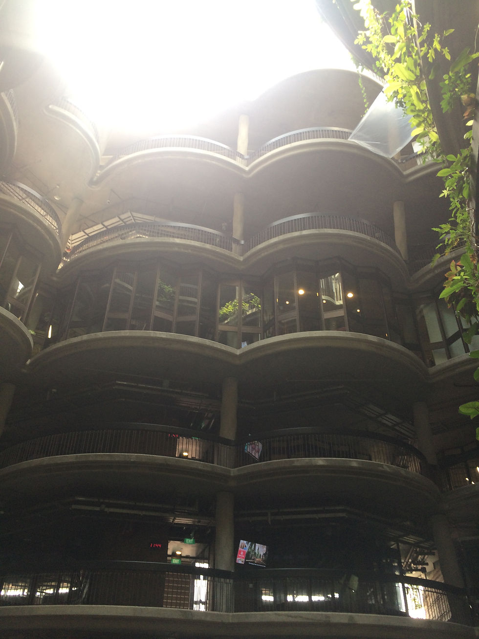 Study/Lecture Rooms