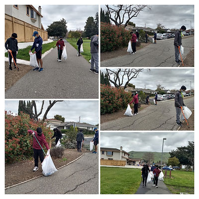 Screenshot 2024-07-20 at 8.15.54 AM.png