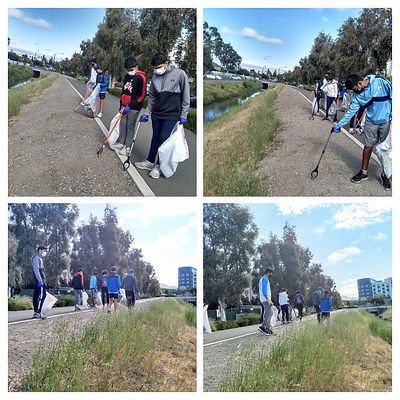 Screenshot 2024-07-20 at 8.15.54 AM.png