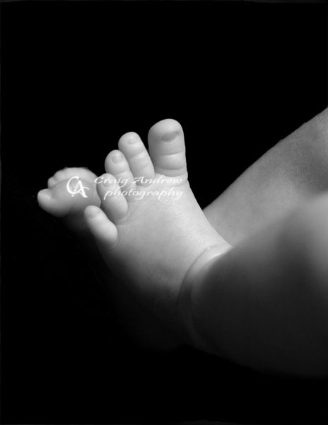 Little Toes