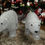 Miniatura: Urso Polar de Acrilico Grande de Natal