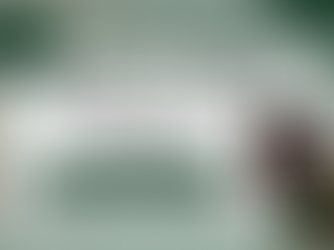 新メニューのお知らせ【よもぎ蒸し】