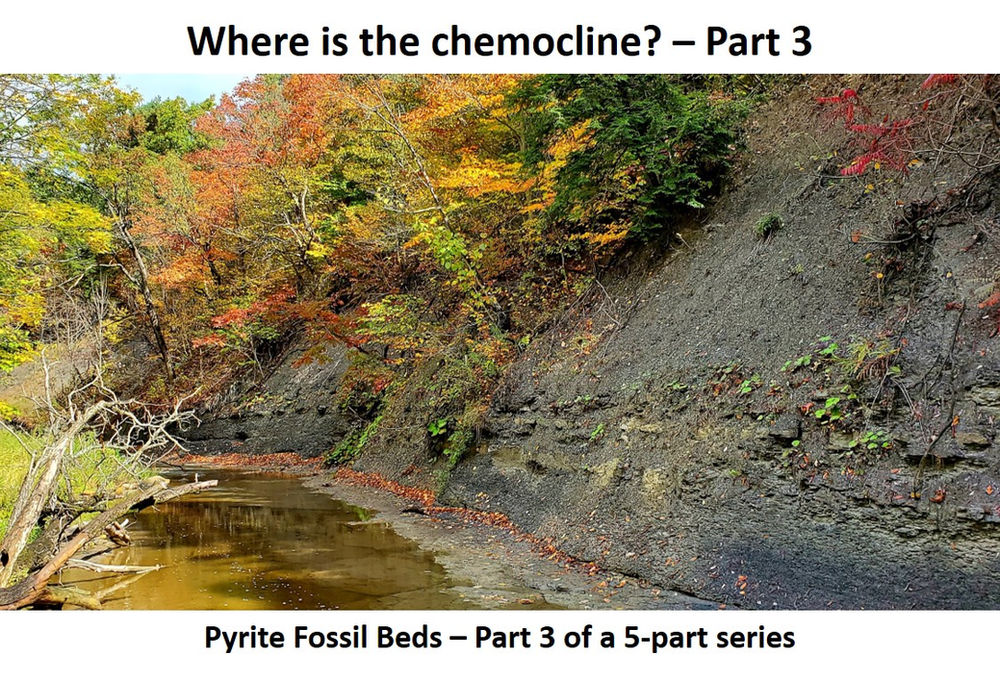 WHERE IS THE CHEMOCLINE? PART 3: PYRITE FOSSIL BEDS