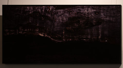 Hidden by Roee Baldinger (Cerno Argus). High-contrast dark fine art photography of an exposed, weathered tree trunk texture with shadows carving out a single, watchful reptilian eye and facial profile. Part of the Psychosis of a Matter sub-series.