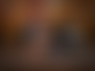 Wolf Pup 17JG LIMITED