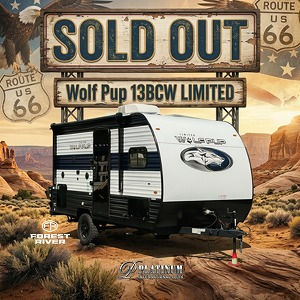SOLD OUT! Wolf Pup13BCW