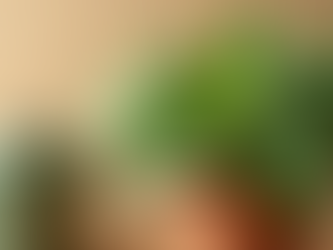 Unlock Your Plants' Potential with Genuine Bloom's Nutrient Food