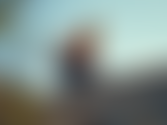 Why You Need a Professional Home Inspection