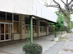 Robar la tradición. Intervención