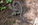 The Sacred Planet: A Snake Story
