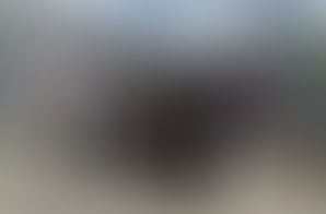 Caring Plymouth experiences of the workplace, an insight into Learning Disability in Plymouth.