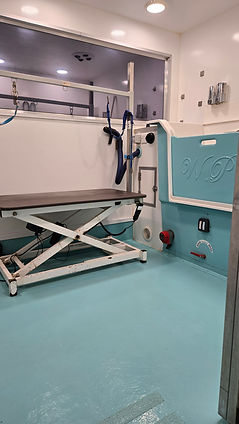 “Inside of Clip & Polish mobile dog grooming pod in Leominster featuring hydraulic groomin