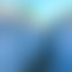 NeoLine composite fencing and gates