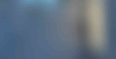 NeoLine Composite Fencing and Gate