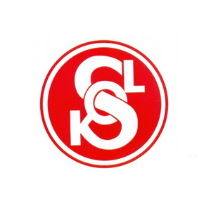 1504274878-sokol.jpg