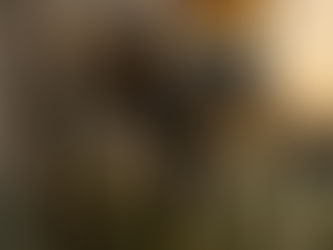 Більше 2 мільйонів 155-мм снарядів ЗСУ отримали від США протягом війни