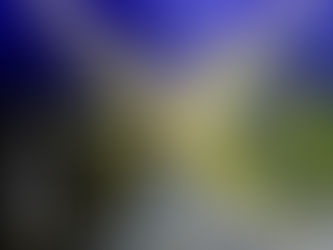 У 32-гу річницю незалежності України українці утворять ланцюг єдності в різних країнах