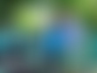 «Лідо, вони тут!» – спогади подружжя з села Чкалове, яке пережило російську окупацію