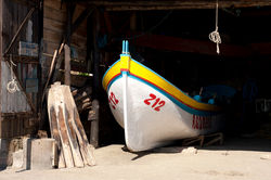 Pesca 17