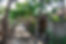 TRIP OK-1432.jpg