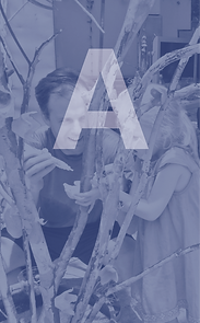 Untitled-1-05.png