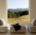 two lounge chairs in a living room that look out onto a green pasture