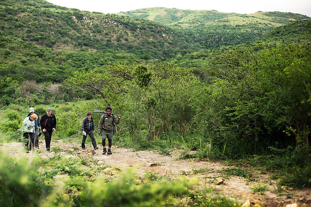 Flitestar Kosi Forest Lodge Walking Safa