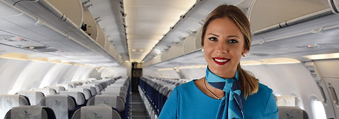 Flitestar-Partner-Air-Azores.jpeg