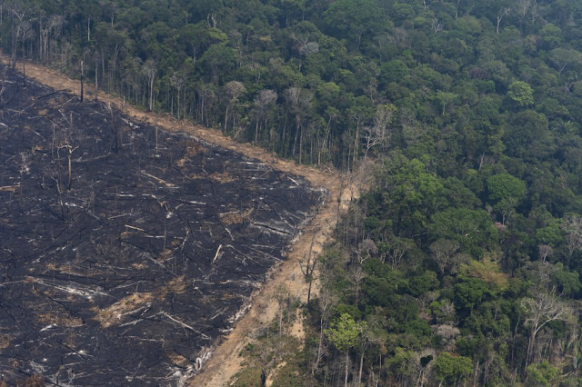 A imagem mostra uma foto aérea da floresta Amazônica e sua devastação. Na imagem é visível ver grande parte da floresta queimada e derrubada.