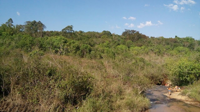 mata de cerrado com riacho