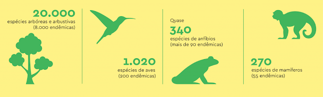 Infográfico