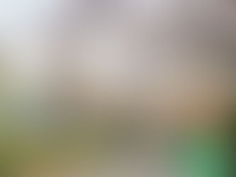 桜と賑わいが戻った上野公園
