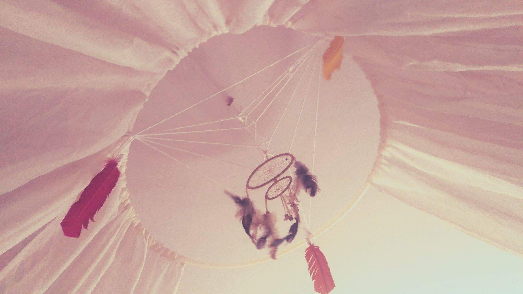 Custom Canopy