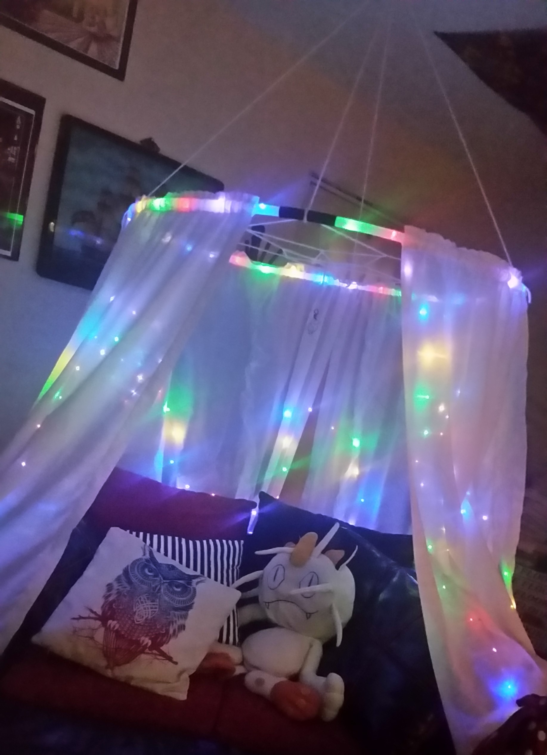 Custom Canopy