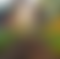 Elevate Your Church with Volunteer Building Projects