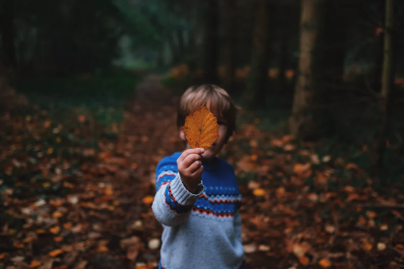Un niño mirando una hoja de árbol