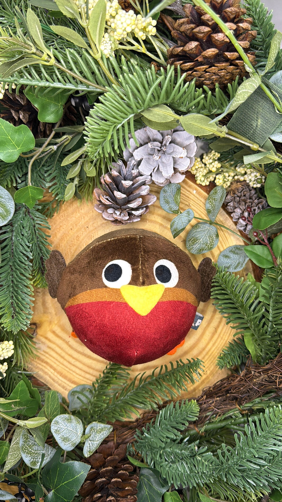 Ralph Robin Squeak Ball