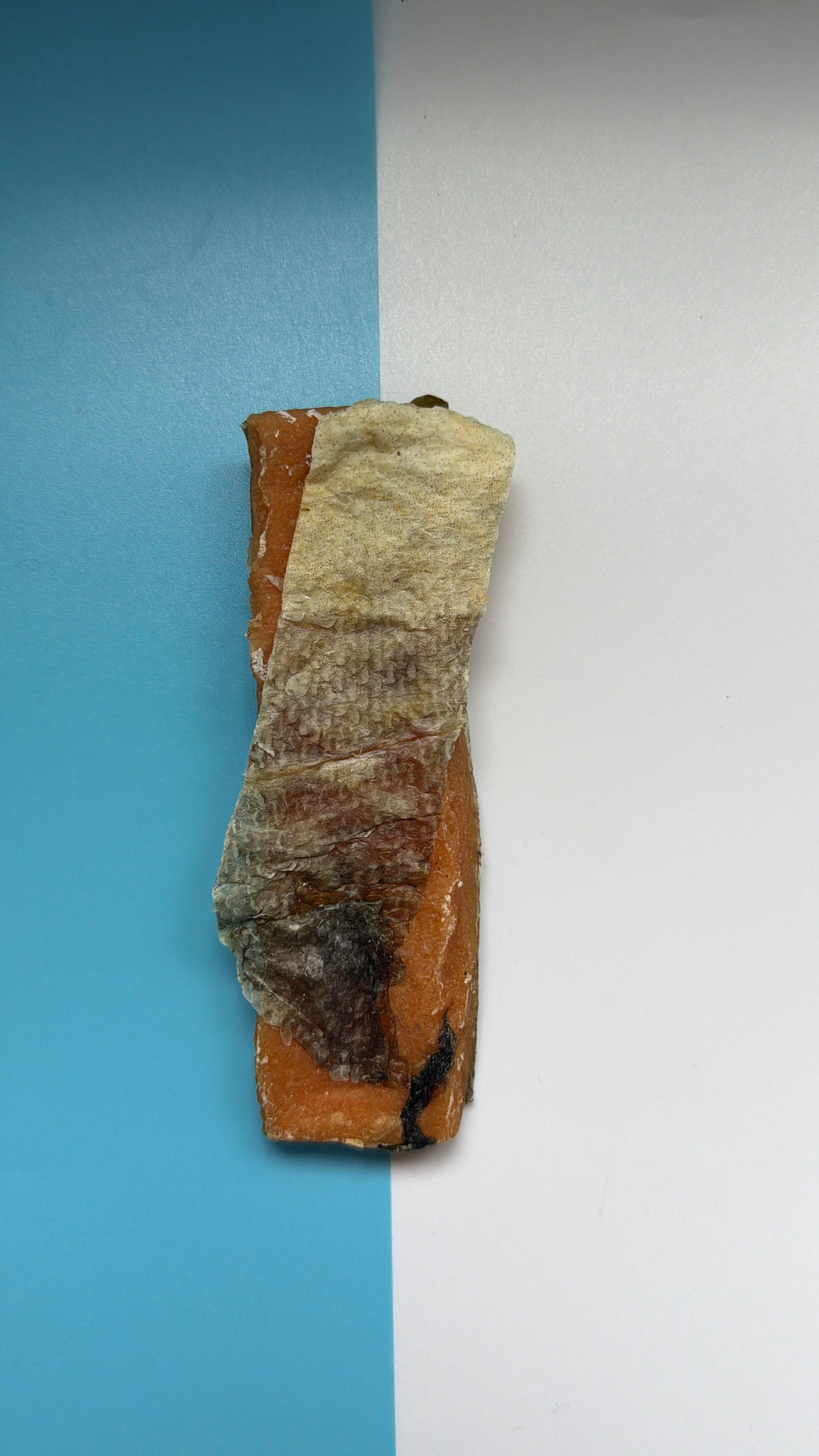 Fish Skin & Chicken Roll