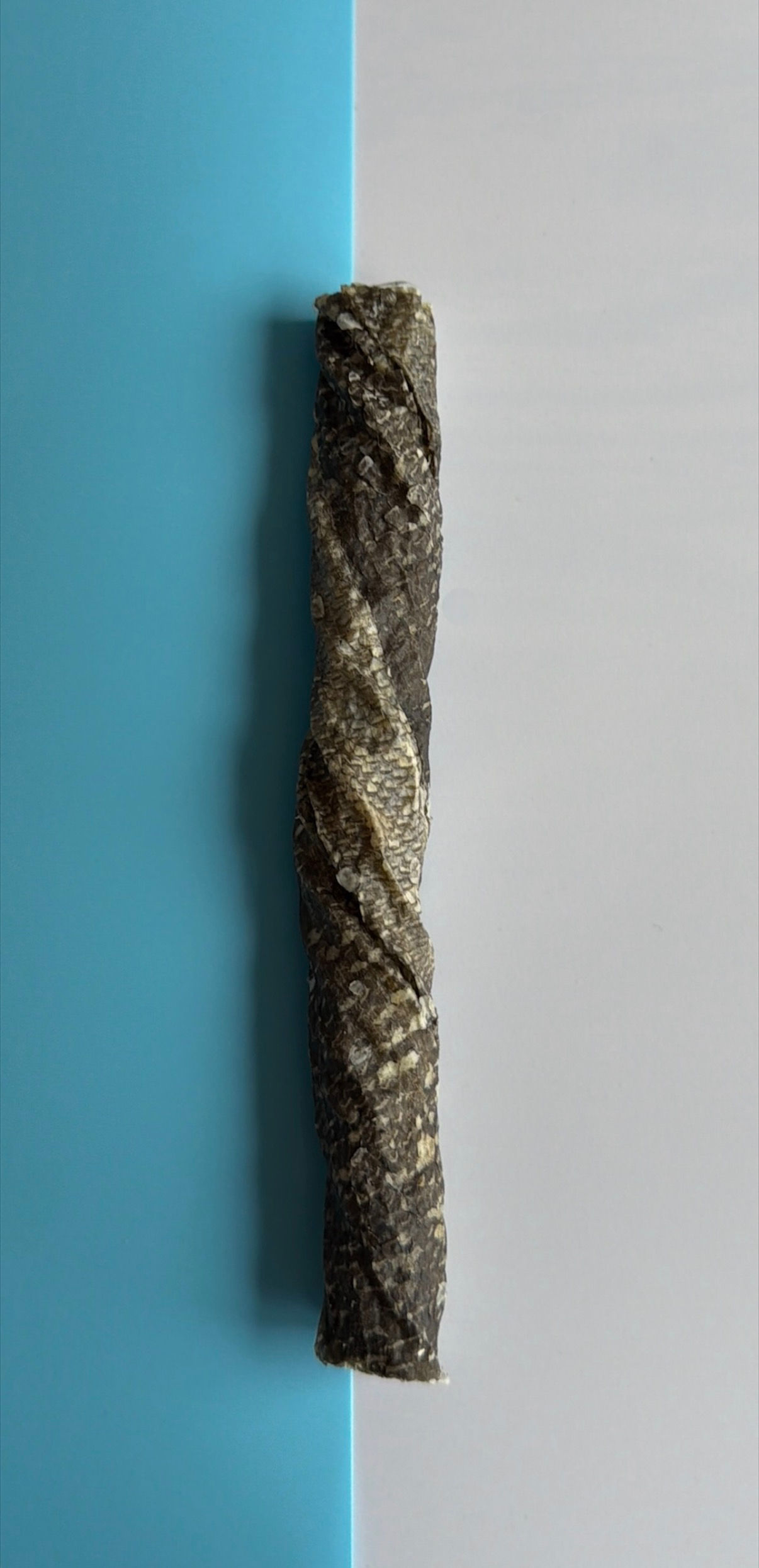 Fish Skin Roll