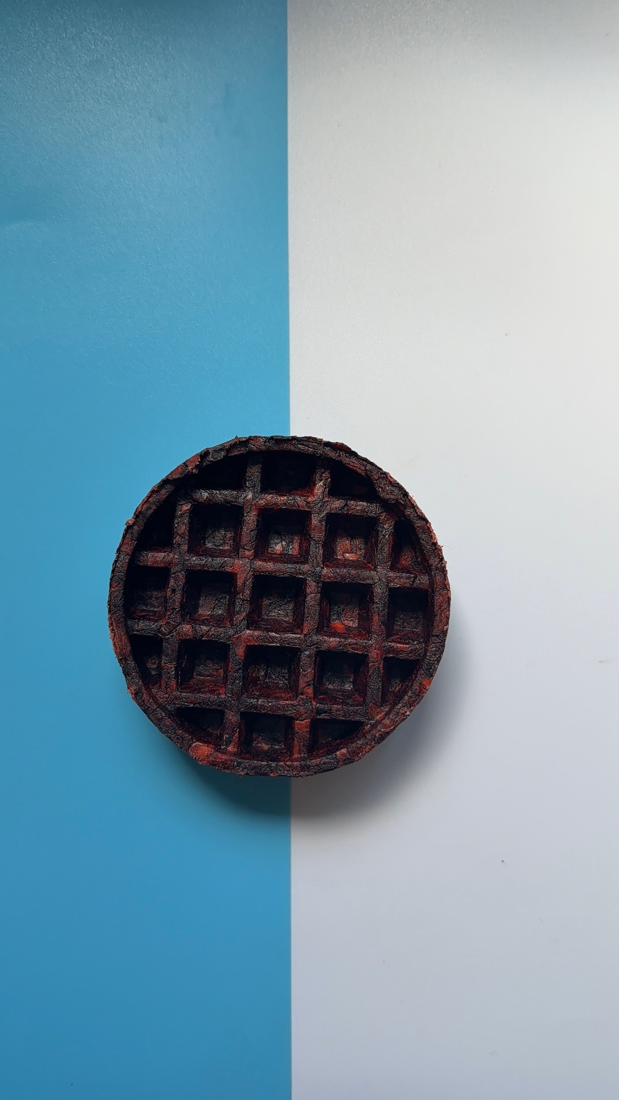 Camel Collagen Waffle