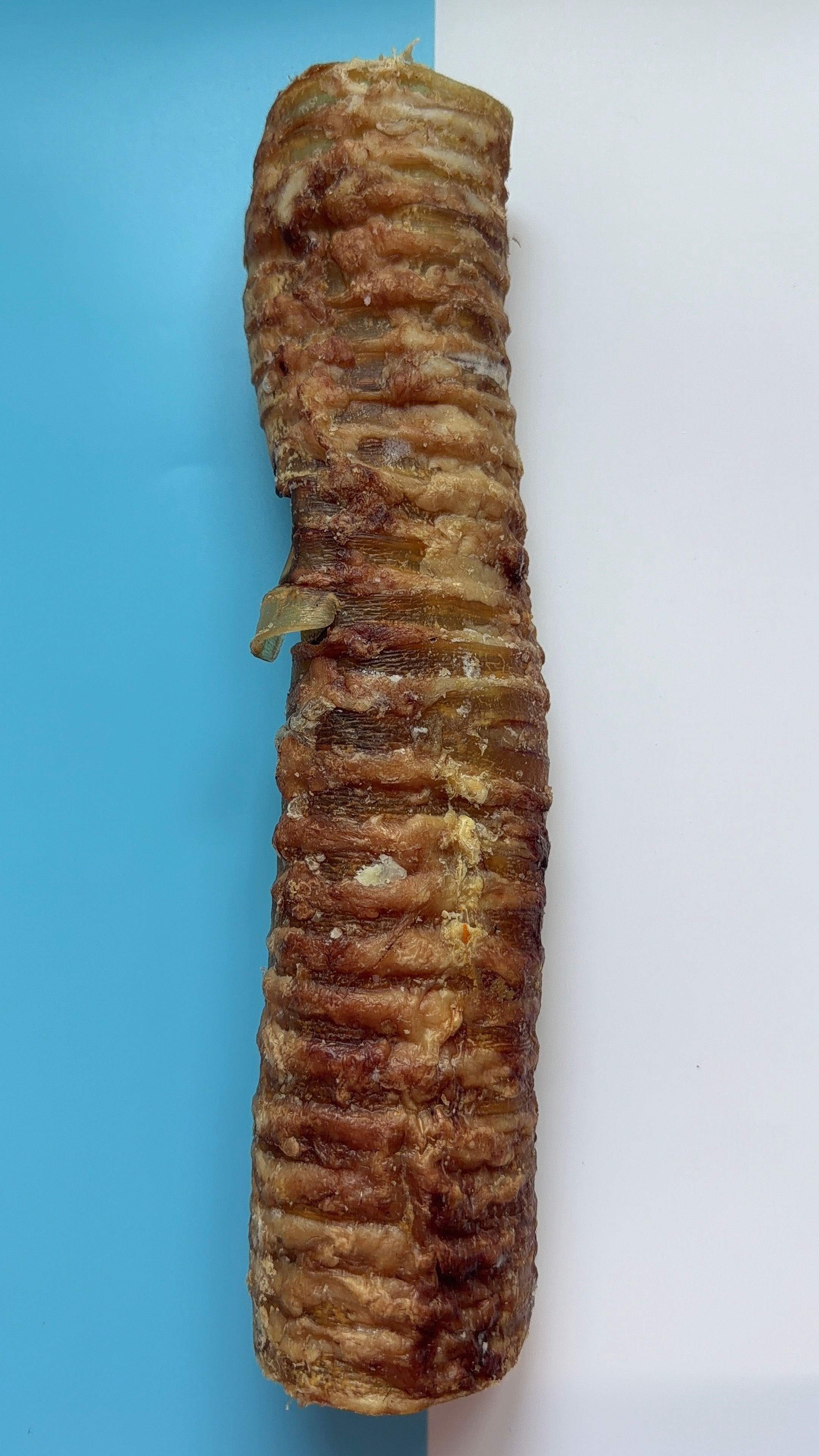 24cm Beef Trachea