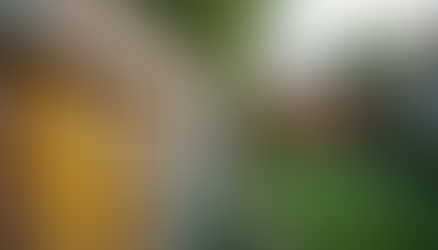 Wood Fence Maintenance Tips and Tricks