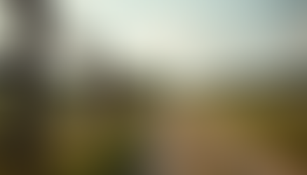 Farm Fencing Services Near You