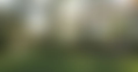 Comprehensive Guide to Commercial Fencing Options